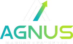 Logo Agnus